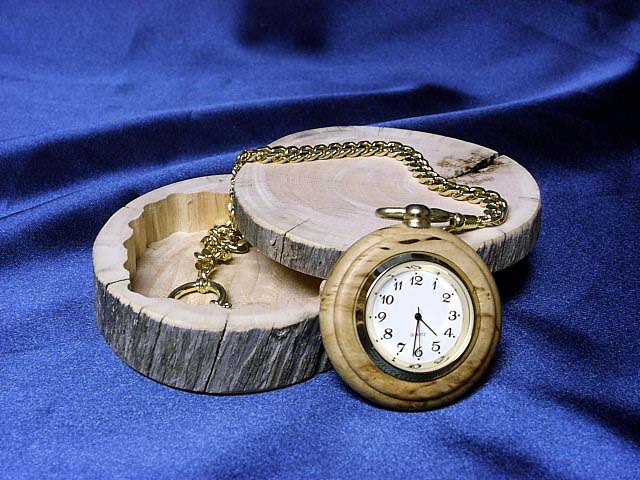 Pocket watch in case