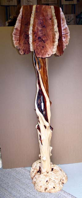 Burl floor lamp