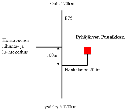 ajo-ohje puunikkarille